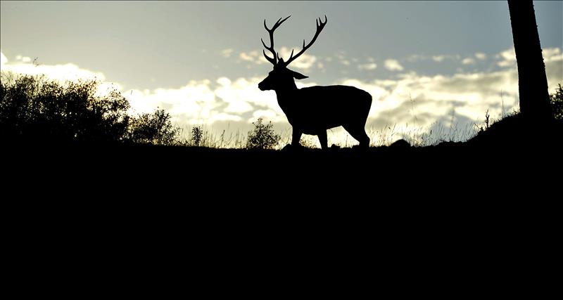 6722447w El Digital de Asturias