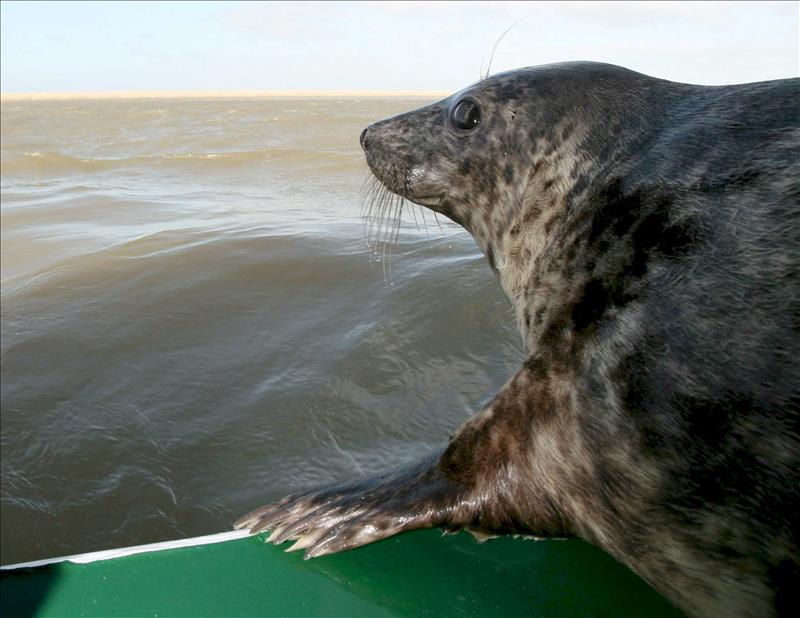 6740610w El Digital de Asturias