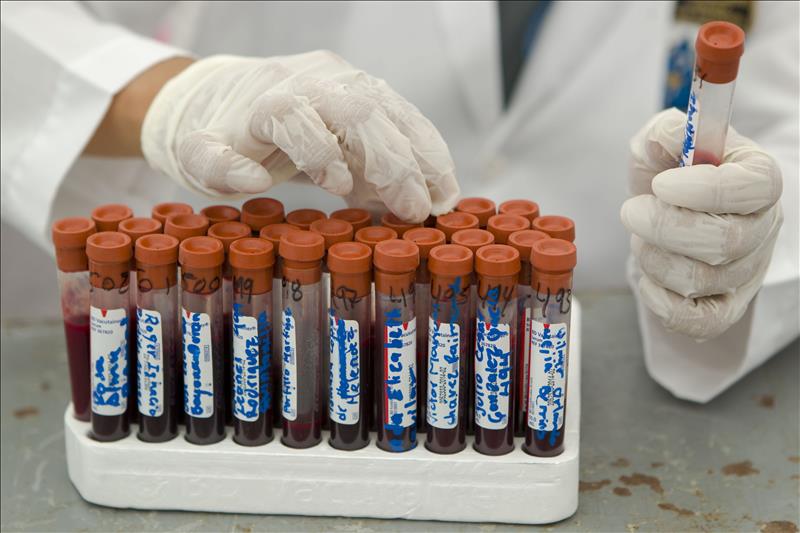 6741272w El Digital de Asturias