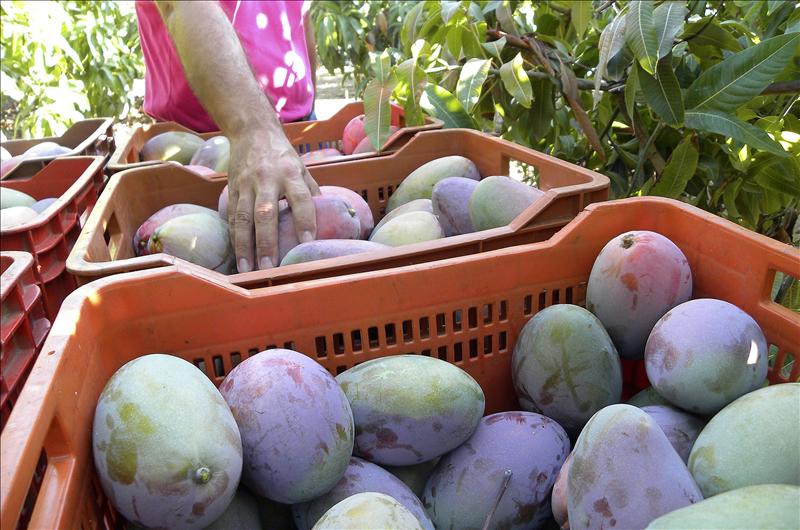 6751654w El Digital de Asturias