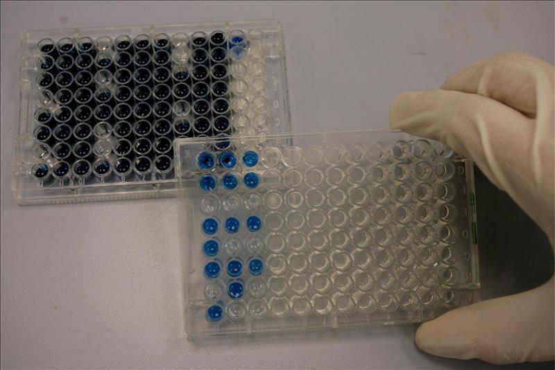 6784409w El Digital de Asturias