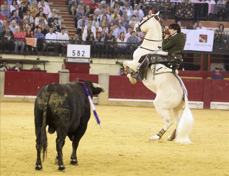 6856612w El Digital de Asturias