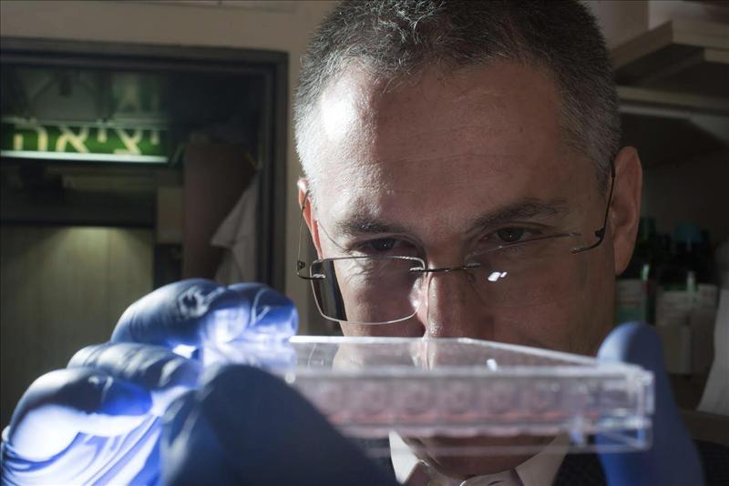 6922511w El Digital de Asturias