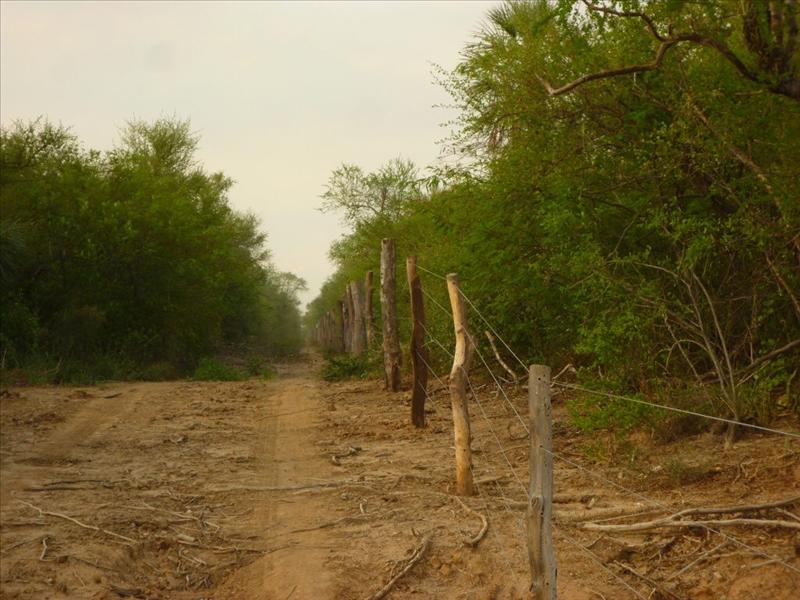 6933381w El Digital de Asturias