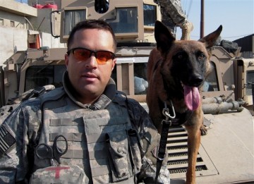 Cuando los perros militares se "jubilan"