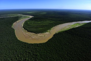 Deforestación en el Gran Chaco Americano