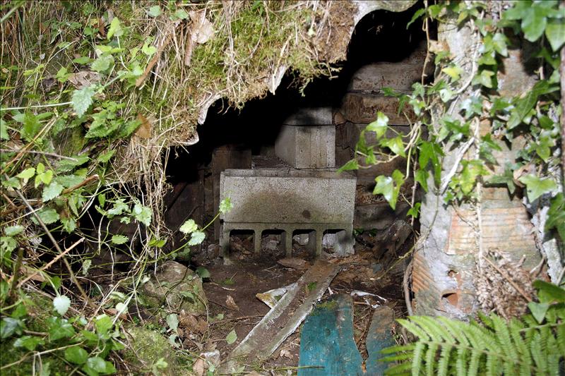 7049909w El Digital de Asturias