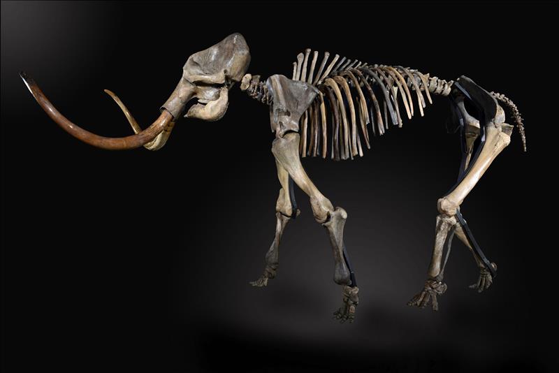 7565746w El Digital de Asturias