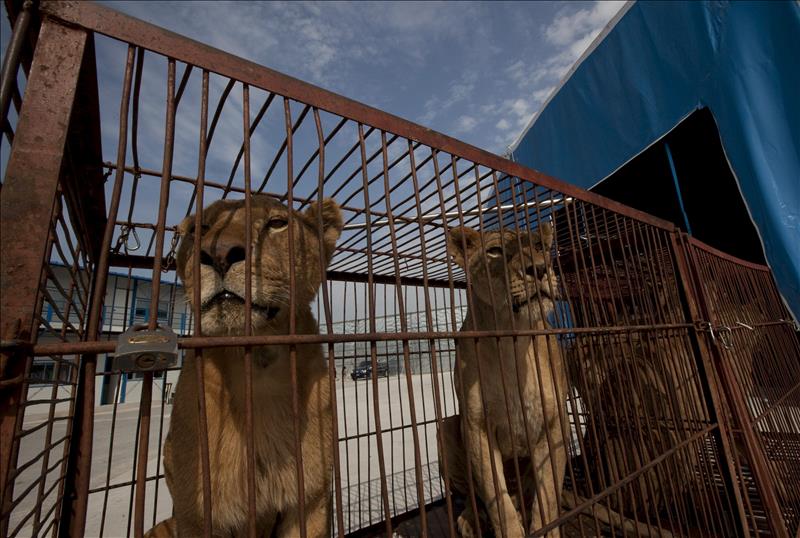 8342539w El Digital de Asturias