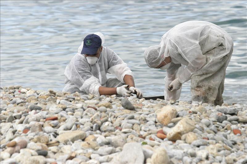 8815810w El Digital de Asturias