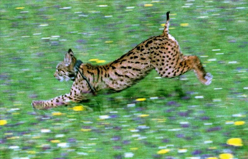 8947215w El Digital de Asturias