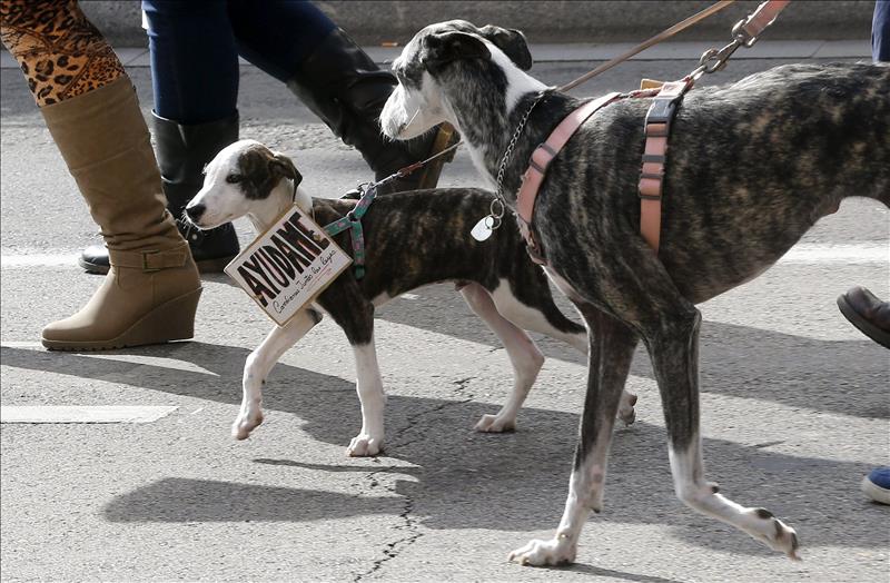 8957433w El Digital de Asturias