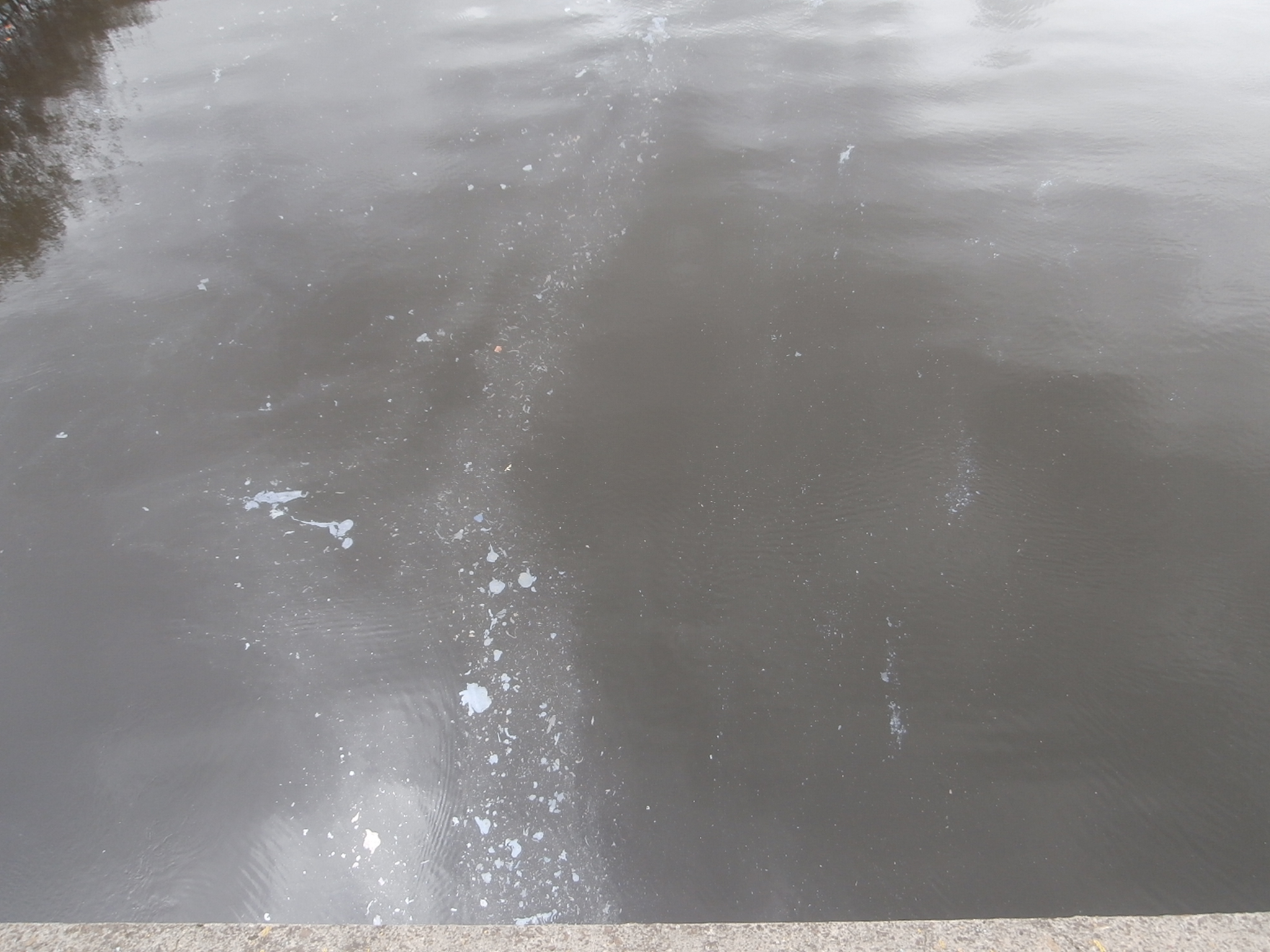 OLYMPUS DIGITAL CAMERA El Digital de Asturias