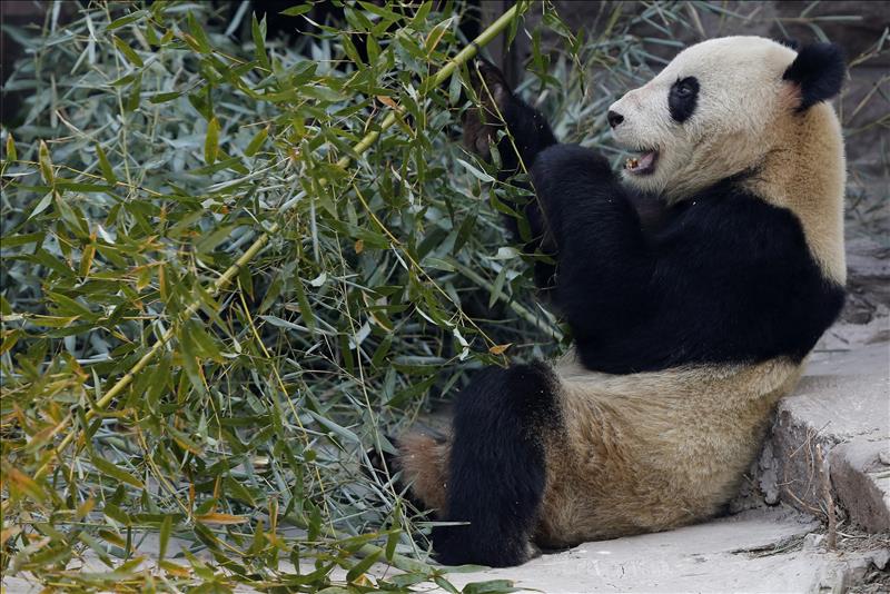 10063939w El Digital de Asturias