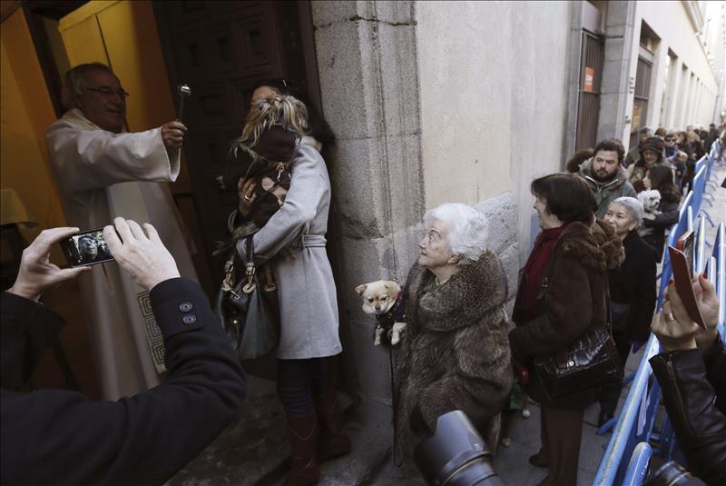 Los animales celebran su día grande con la bendición de San Antón