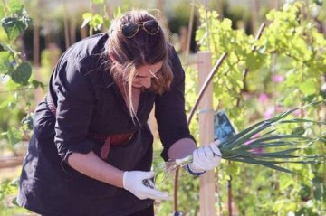 060215-Empleo-AgrarioInt