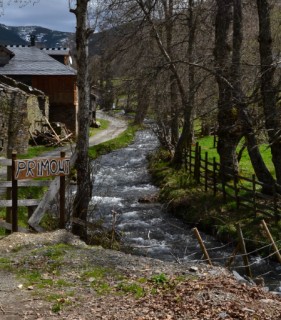 El Primout de Ángel González