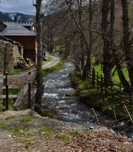 El Primout de Ángel González El Digital de Asturias