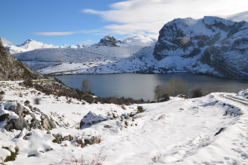Picos Lago Enol.1