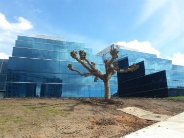 fotonoticia_20150224110330_800