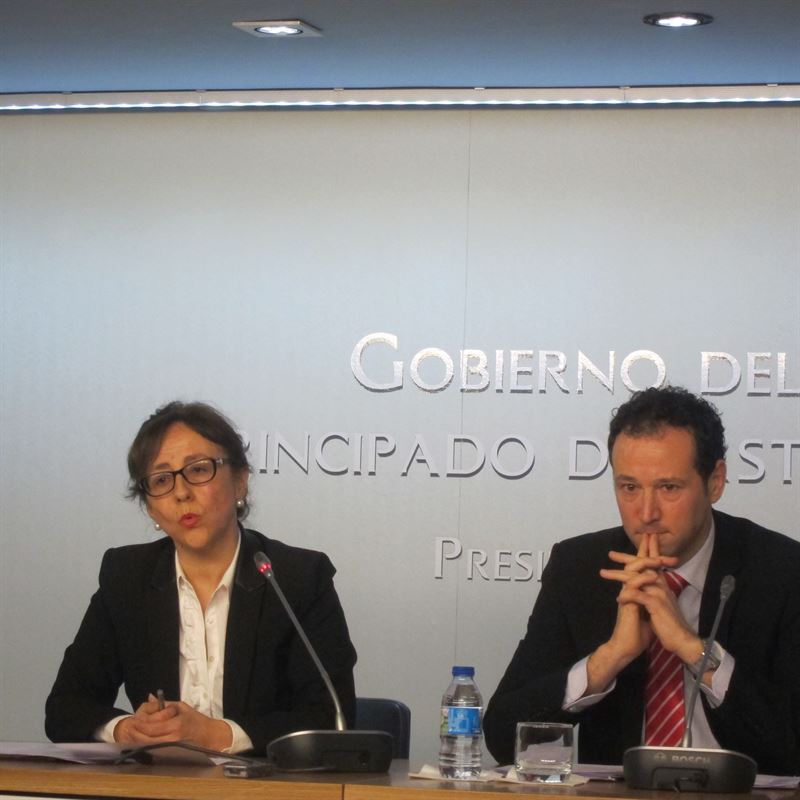 fotonoticia20150225142643800 El Digital de Asturias