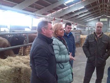 fotonoticia_20150225153545_800