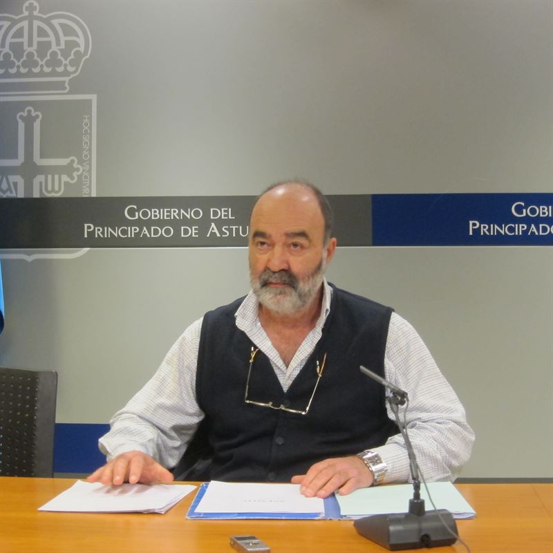 fotonoticia20150226195850800 El Digital de Asturias