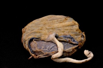 3739655032_e9bf480163_o_imagelarge