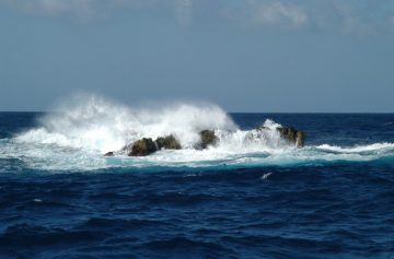 La-falta-de-oxigeno-en-el-oceano-altera-la-diversidad-animal-del-fondo-marino_image_380