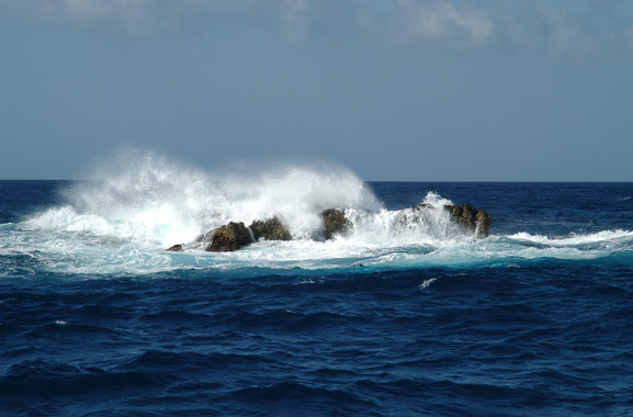 Lafaltadeoxigenoeneloceanoalteraladiversidadanimaldelfondomarinoimage380 El Digital de Asturias