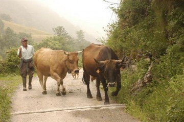 asturias campo