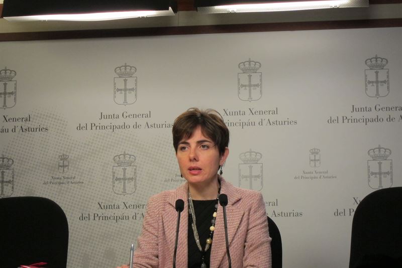 fotonoticia20150302132332800 El Digital de Asturias