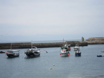pesca asturias