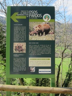 senda del osos asturias