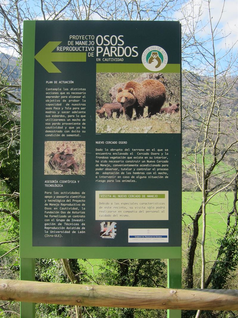 senda del osos asturias El Digital de Asturias