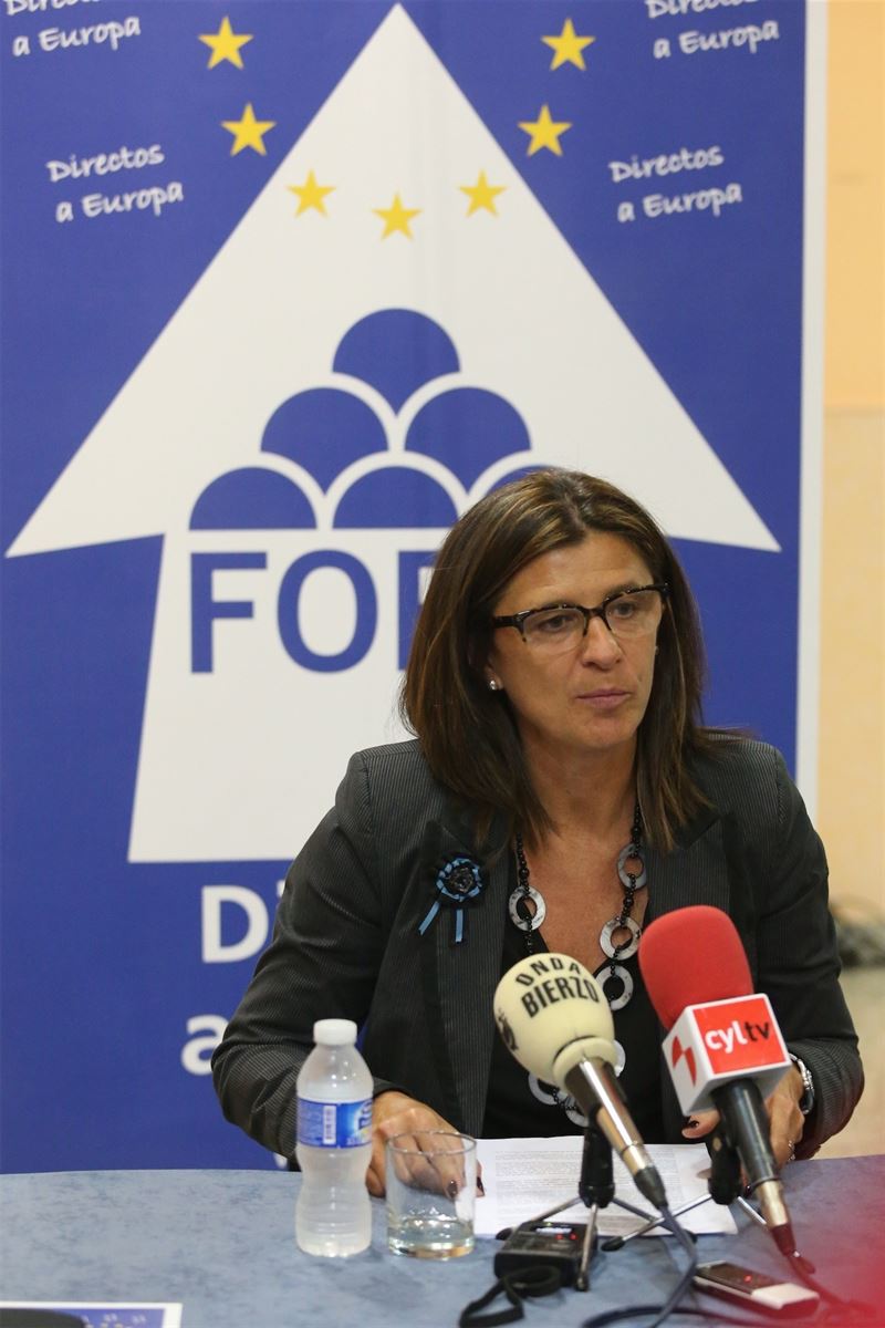 fotonoticia20150417110856800 El Digital de Asturias