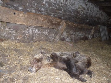 fotonoticia_20150502105942_800