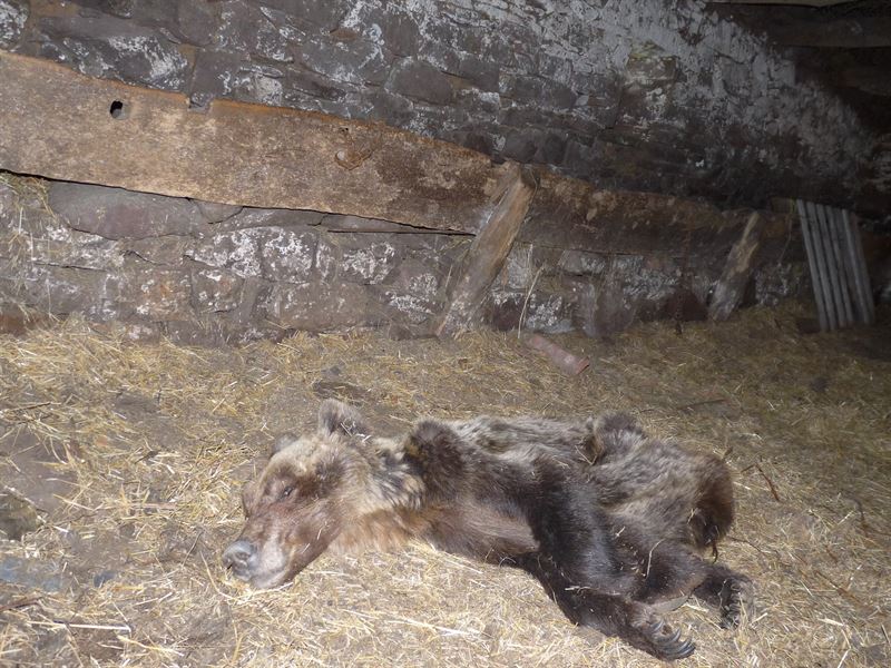 fotonoticia20150502105942800 El Digital de Asturias