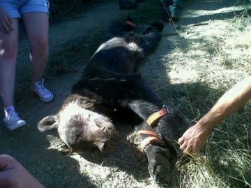 fotonoticia_20150514141200_800