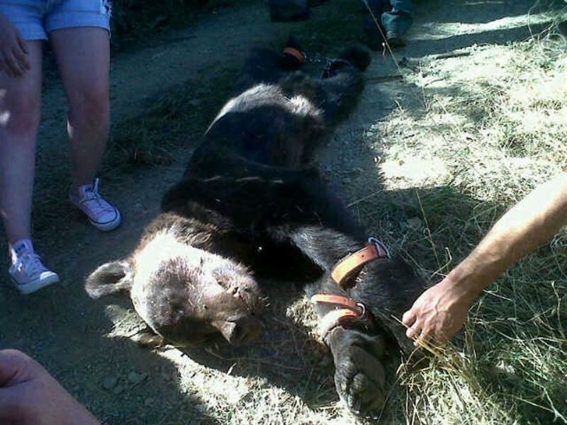 fotonoticia20150514141200800 El Digital de Asturias