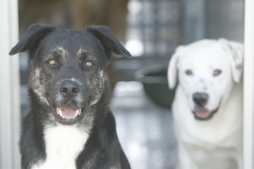 fotonoticia_20150518123836_800