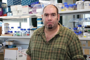 Revelados-los-mecanismos-que-facilitan-la-organizacion-tridimensional-del-genoma_image800_