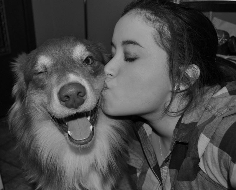 Hoteles para irse de vacaciones con tu mascota