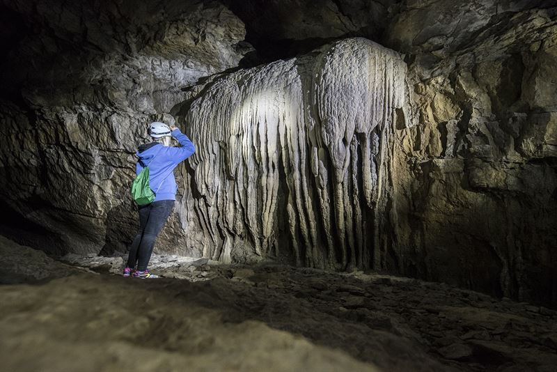 fotonoticia20150606112933800 El Digital de Asturias