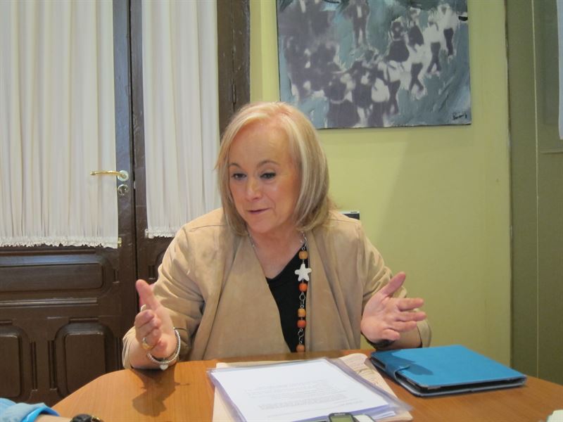 fotonoticia20150612123854800 El Digital de Asturias