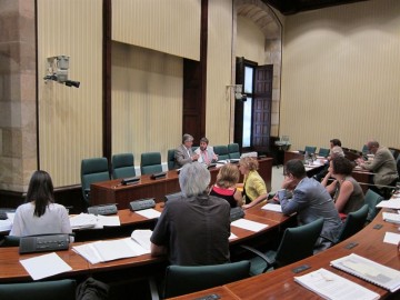 fotonoticia_20150612134142_800