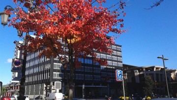 fotonoticia_20150622132501_800