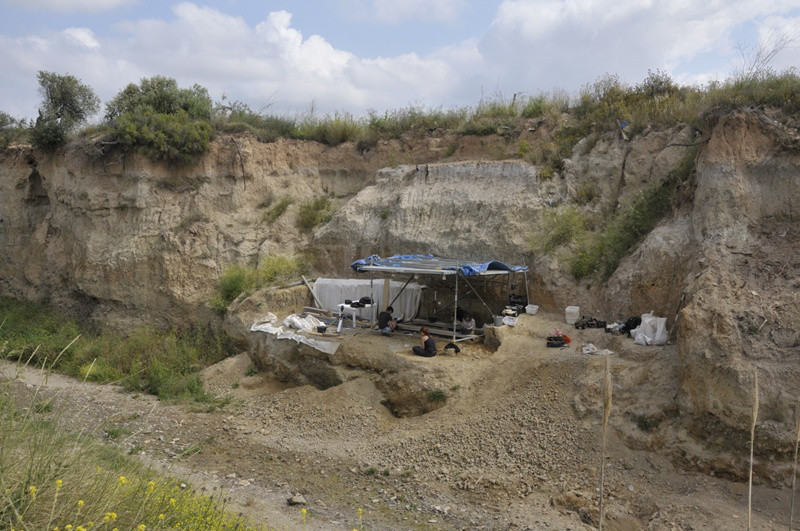 letrinadehienasenTarragona El Digital de Asturias