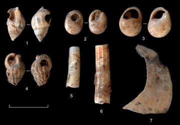 Descubren-restos-arqueologicos-en-Tarragona-de-unos-14_000-anos-de-antigueedad_image800_