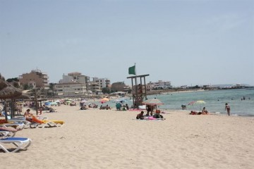 fotonoticia_20150714135333_800